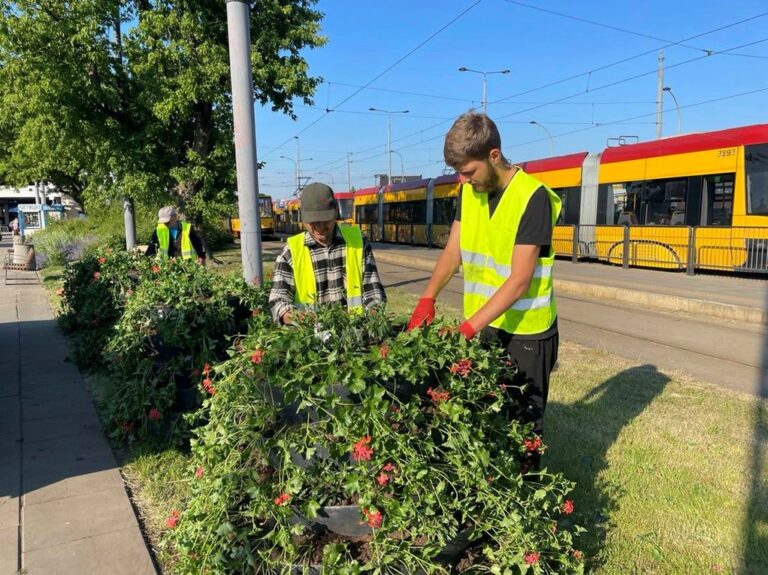 Pielęgnacja zieleni