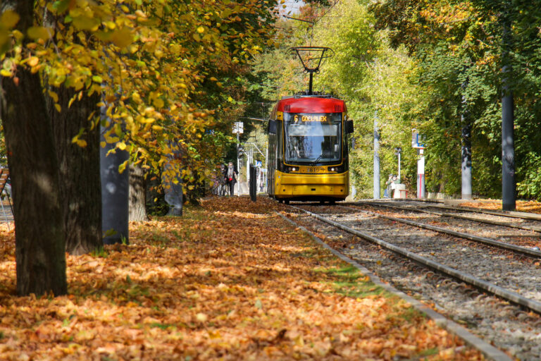 tramwaj jesień